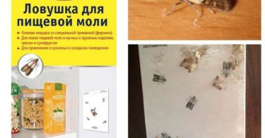 аэроксон